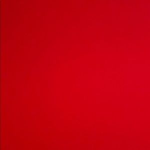 Meet your Posher, Bridget